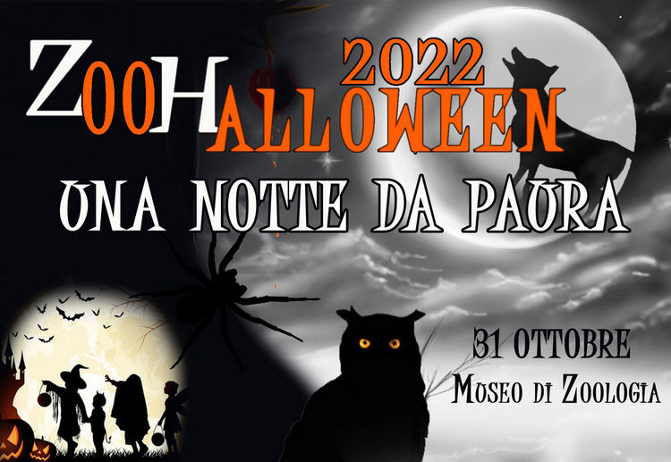 Museo Civico di Zoologia, la sera del 31 ottobre torna l’appuntamento con ZooHalloween