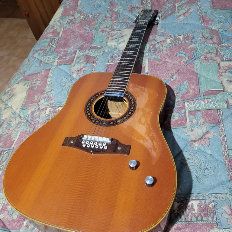 Chitarra 12 corde Eko