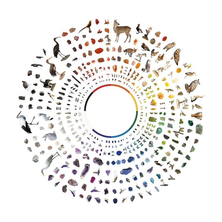 Dentro il Colore. Attraverso la materia e la luce