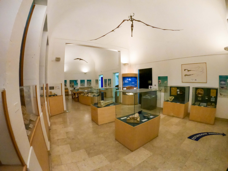 Il museo civico di Storia Naturale si rinnova. Studiosi da tutta Italia per un convegno