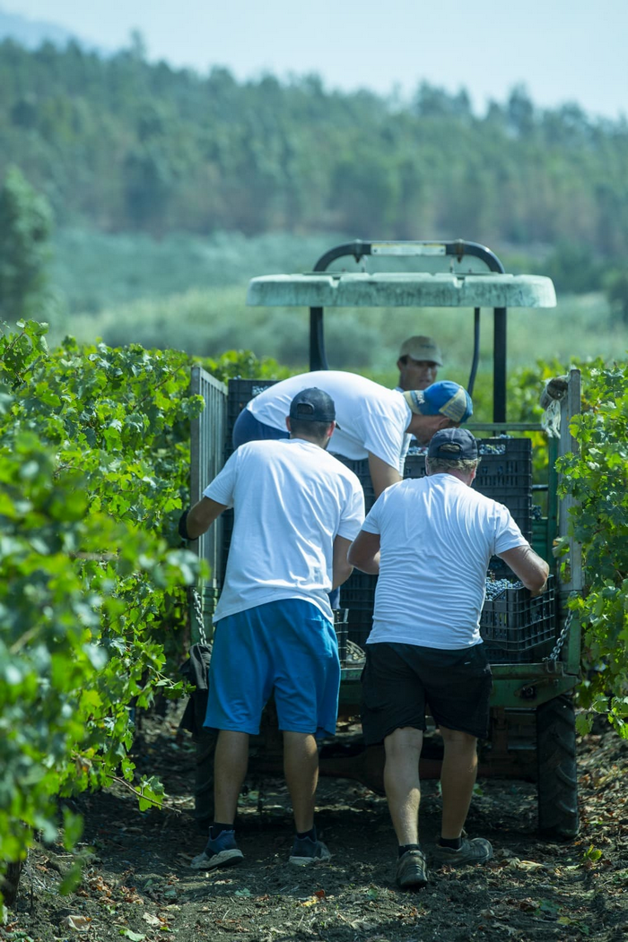 G7 Siracusa, focus su agricoltura